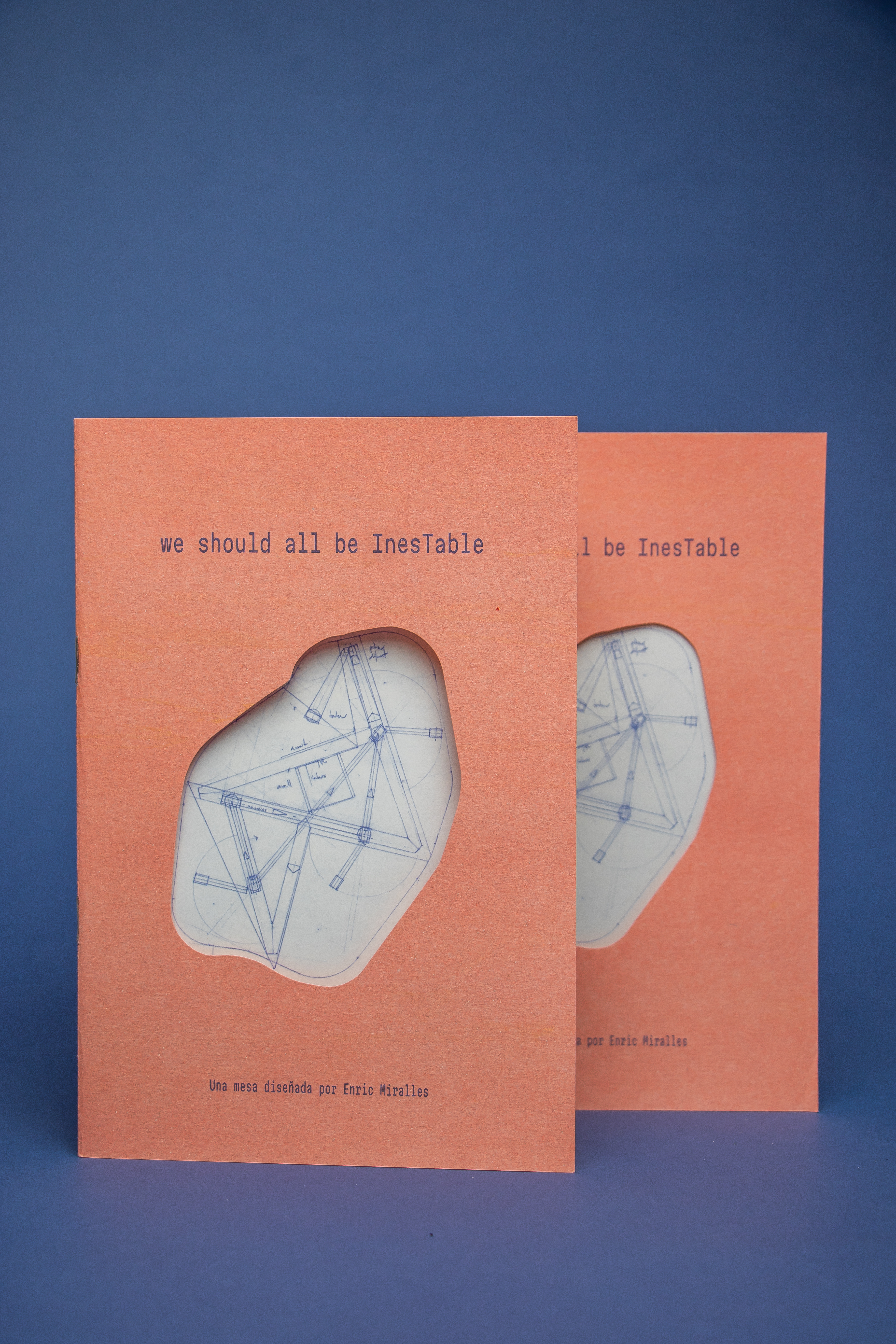 we-should-all-be-inestable-por-caos-editorial