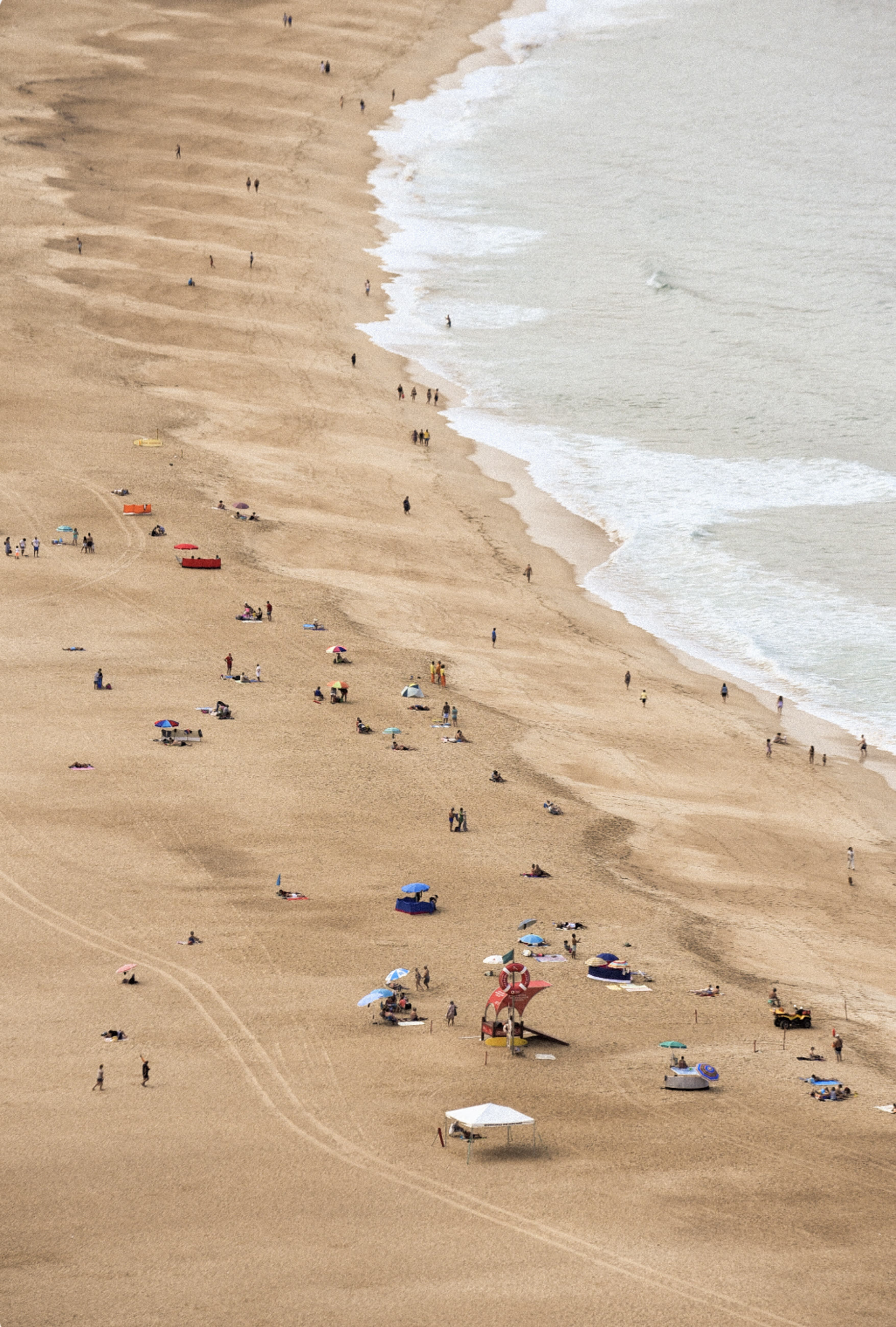 mas-alla-de-coexistir