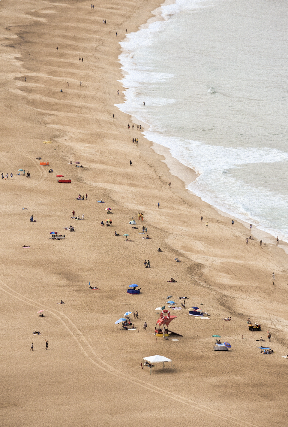 mas-alla-de-coexistir